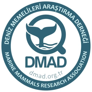 Agency DMAD - Marine Mammal Research Association