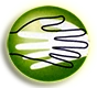 Agency Chartreuse prime recruitment specialist