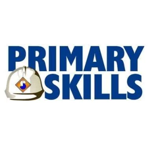 Agency PSC primary skills inc