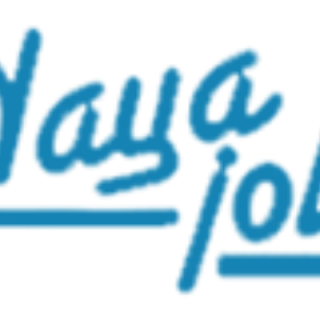 Agency Naya Jobs Consulting Pvt Ltd