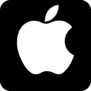 Employment agency abroad Apple Inc.