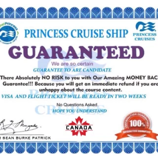 Agency Cruise LTD