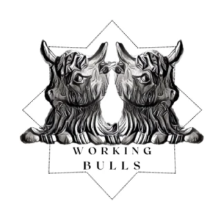 Agency Workingbulls Ltd