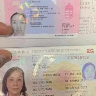 Employment agency abroad bengreenofficial