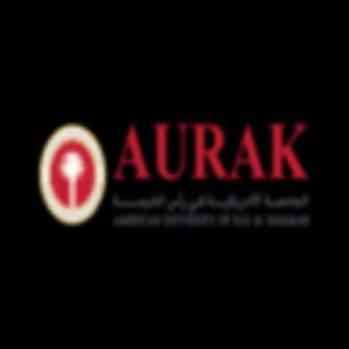 Agency American University Of Ras Al Khaimah