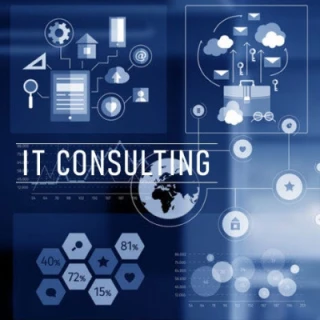 Agency Consult Industry