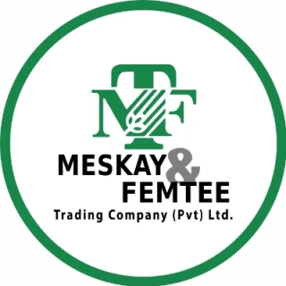 Agency Meskay & Femtee Trading Company