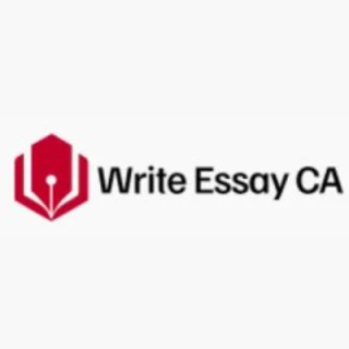 Agency Write Essay Canada