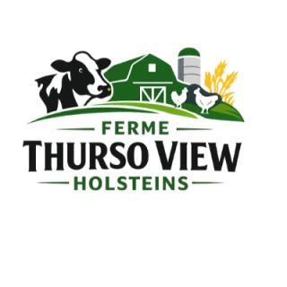 Employment agency abroad Ferme Thurso View Holsteins