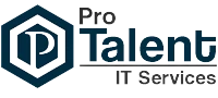 Agency Pro-Talent IT Services Inc